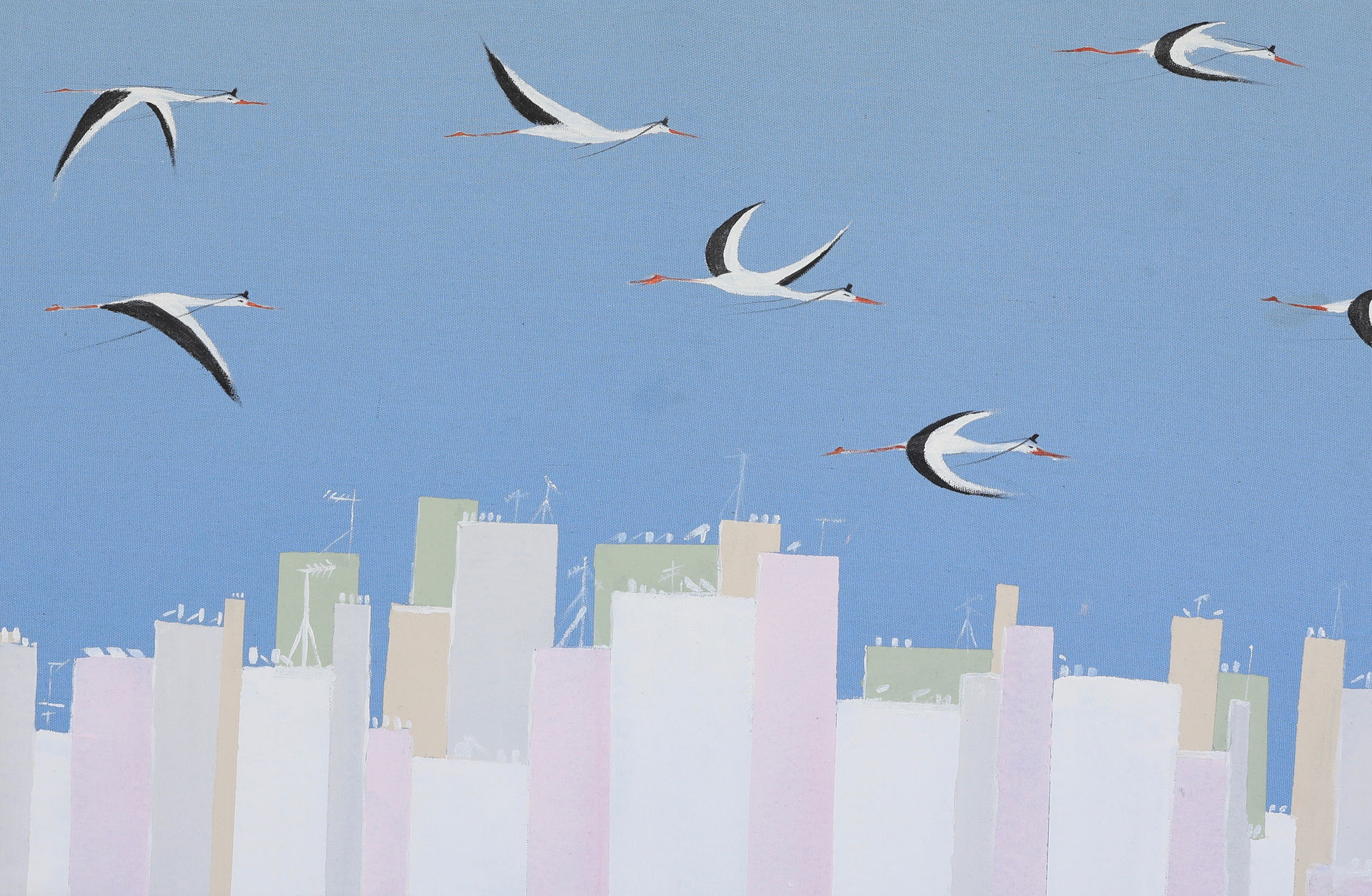 Petach Tikvah Birds